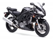 2007 Suzuki SV 1000 S photo